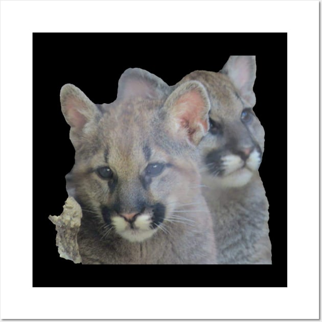 Mountain Lion cubs Wall Art by Sharonzoolady